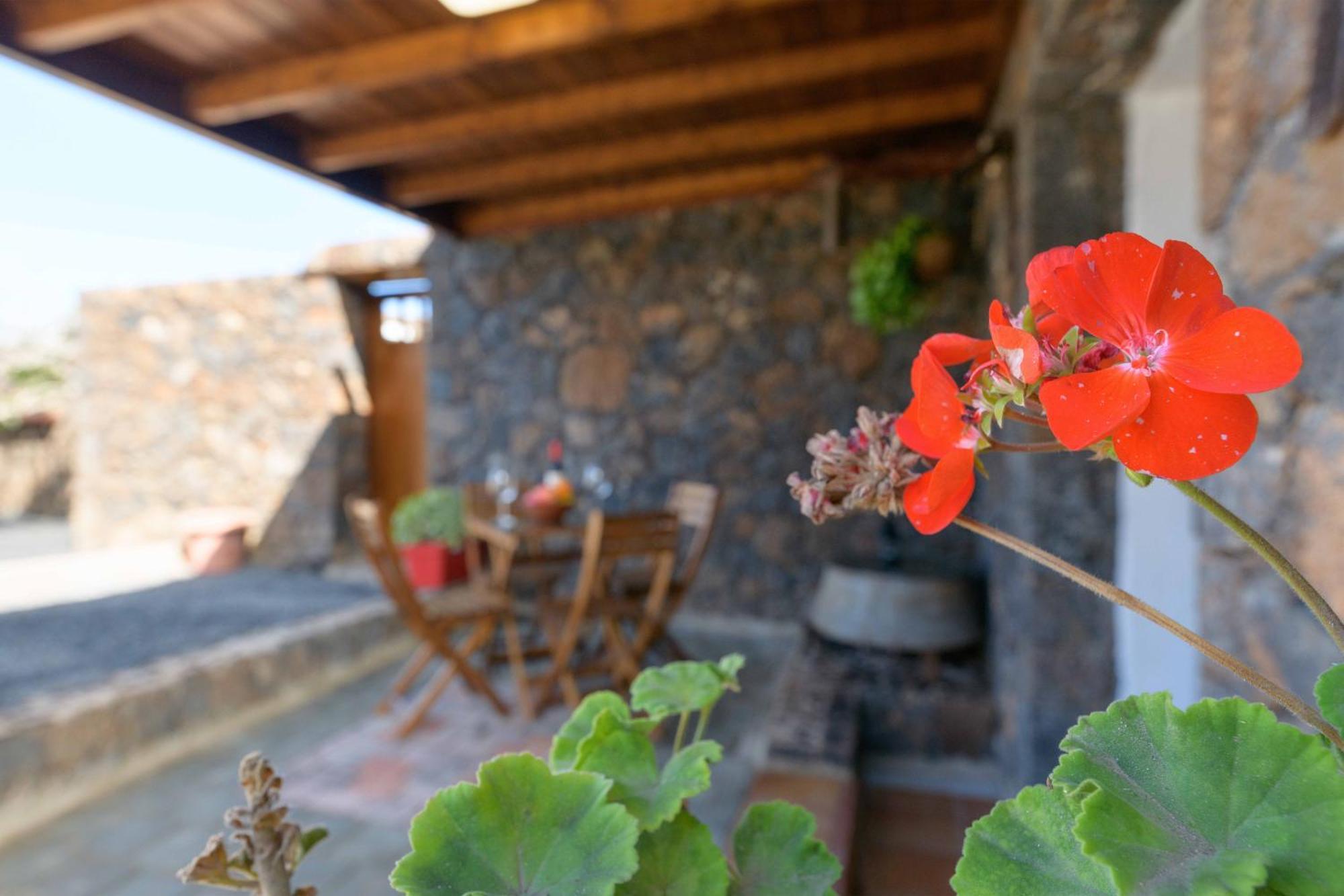 Apartamento Los 4 Nobles Tinajo Dış mekan fotoğraf